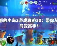 憤怒的小鳥2游戲攻略30：帶你從菜鳥變高手！