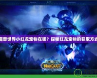 魔獸世界小紅龍寵物在哪？探秘紅龍寵物的獲取方式