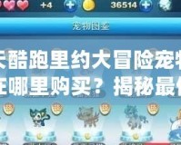 天天酷跑里約大冒險寵物可以在哪里購買？揭秘最佳購買途徑與技巧！