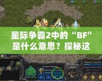 星際爭霸2中的“BF”是什么意思？探秘這個詞匯背后的深層含義