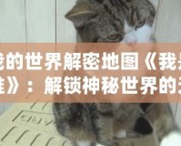 我的世界解密地圖《我是誰(shuí)》：解鎖神秘世界的無(wú)限可能