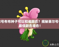 賽爾號布布種子可以和誰融合？揭秘賽爾號中的最佳融合組合！
