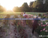 夢幻農(nóng)場官網(wǎng)下載：開啟你的田園夢想，盡享豐收樂趣