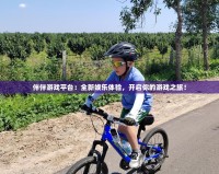伴伴游戲平臺：全新娛樂體驗(yàn)，開啟你的游戲之旅！