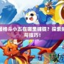 洛克王國格斗小五在哪里捕捉？探索捕捉攻略與技巧！