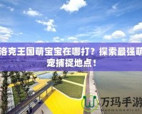 洛克王國萌寶寶在哪打？探索最強萌寵捕捉地點！