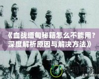 《血戰(zhàn)緬甸秘籍怎么不能用？深度解析原因與解決方法》