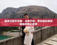 貓游記新手攻略：從零開始，帶你輕松暢游貓咪的奇幻世界