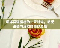 暖洋洋貓貓村的一天時(shí)光，感受溫馨與治愈的奇妙之旅
