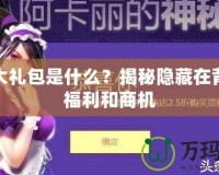 聯(lián)盟大禮包是什么？揭秘隱藏在背后的福利和商機(jī)