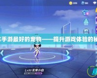 QQ飛車手游最好的寵物——提升游戲體驗(yàn)的秘密武器