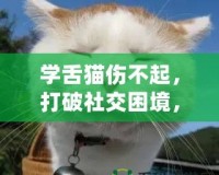 學(xué)舌貓傷不起，打破社交困境，找回自信與快樂(lè)！