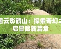 洛克王國云影鶴山：探索奇幻之地，開啟冒險新篇章