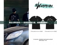 黑白2伊布進(jìn)化——探索進(jìn)化的力量，收獲更強(qiáng)伊布！
