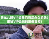 天龍八部VIP會員究竟是永久的嗎？揭秘VIP會員的那些真相！