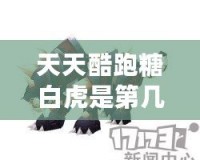 天天酷跑糖白虎是第幾個坐騎？揭開最強(qiáng)坐騎的神秘面紗
