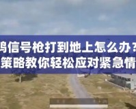 吃雞信號(hào)槍打到地上怎么辦？四大策略教你輕松應(yīng)對(duì)緊急情況