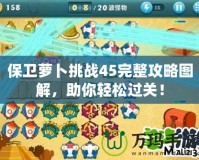 保衛(wèi)蘿卜挑戰(zhàn)45完整攻略圖解，助你輕松過關(guān)！