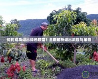 如何成功退出綠色聯(lián)盟？全面解析退出流程與策略