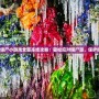 植物大戰(zhàn)僵尸小游戲全面凍結(jié)攻略：輕松應(yīng)對(duì)僵尸潮，保護(hù)你的花園！