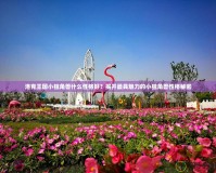 洛克王國小獨(dú)角獸什么性格好？揭開最具魅力的小獨(dú)角獸性格秘密