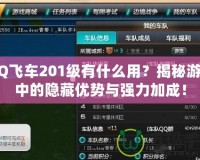 QQ飛車201級(jí)有什么用？揭秘游戲中的隱藏優(yōu)勢與強(qiáng)力加成！