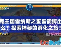 洛克王國雷納斯之蛋蛋能孵出什么？探索神秘的孵化之旅！