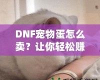 DNF寵物蛋怎么賣？讓你輕松賺取豐厚收益的實用技巧