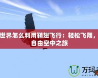 我的世界怎么利用鞘翅飛行：輕松飛翔，盡享自由空中之旅