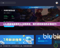 LOL美服加速器怎么設(shè)置路徑，提升游戲體驗(yàn)的必備技巧！