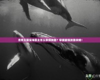洛克王國深海霸主怎么獲得技能？掌握最強技能攻略！