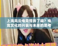 上海風(fēng)云電競(jìng)館拆了嘛？電競(jìng)文化的興衰與未來(lái)的思考