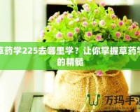 草藥學(xué)225去哪里學(xué)？讓你掌握草藥學(xué)的精髓