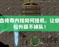 熱血傳奇內(nèi)掛如何掛機(jī)，讓你輕松升級不掉隊(duì)！