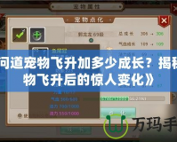 《問(wèn)道寵物飛升加多少成長(zhǎng)？揭秘寵物飛升后的驚人變化》