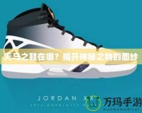 天馬之鞋在哪？揭開神秘之物的面紗