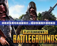 絕地求生黑號(hào)批發(fā)最低價(jià)，助你快速提升游戲體驗(yàn)