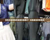 洛克王國(guó)寵物的裝備在哪里打？探索最佳獲取途徑！