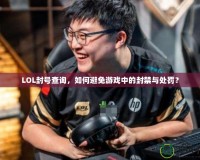 LOL封號(hào)查詢，如何避免游戲中的封禁與處罰？