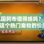 洛克王國阿布值得練嗎？深度解析這個熱門寵物的價值！