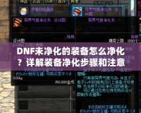 DNF未凈化的裝備怎么凈化？詳解裝備凈化步驟和注意事項(xiàng)