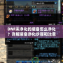 DNF未凈化的裝備怎么凈化？詳解裝備凈化步驟和注意事項