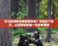 夢幻西游異常捕捉器在哪？掌握這個(gè)技巧，讓你輕松抓捕一切珍稀怪物