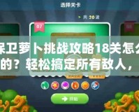 保衛(wèi)蘿卜挑戰(zhàn)攻略18關怎么過的？輕松搞定所有敵人，成為保衛(wèi)大師！