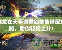 御龍在天手游重劍技能搭配攻略，助你輕松上分！