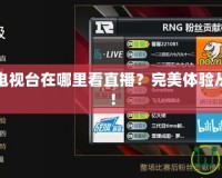 英雄聯(lián)盟電視臺(tái)在哪里看直播？完美體驗(yàn)從這里開(kāi)始！
