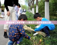 爸爸去哪兒手游下載——帶孩子一起開(kāi)啟冒險(xiǎn)之旅