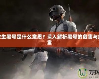 絕地求生黑號(hào)是什么意思？深入解析黑號(hào)的危害與解決方案