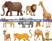 愛拍馬屁的動(dòng)物是什么生肖？揭開生肖里的“馬屁精”秘密