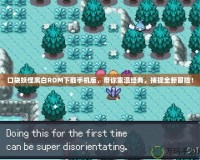 口袋妖怪黑白R(shí)OM下載手機(jī)版，帶你重溫經(jīng)典，捕捉全新冒險(xiǎn)！
